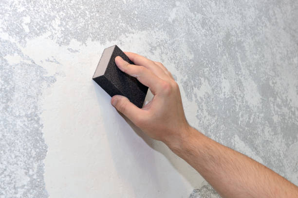 Best Commercial Mold Inspection  in Glen Carbon, IL