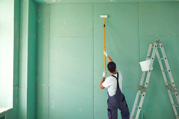 Best Mold Removal for HVAC Installations  in Glen Carbon, IL