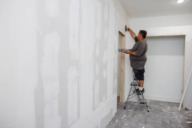 Best Comprehensive Air Testing for Mold Contaminants  in Glen Carbon, IL