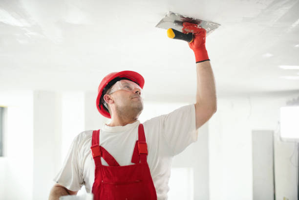 Best Attic Mold Removal  in Glen Carbon, IL